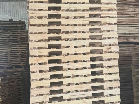Pallet gỗ Vsip